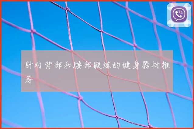 针对背部和腰部锻炼的健身器材推荐