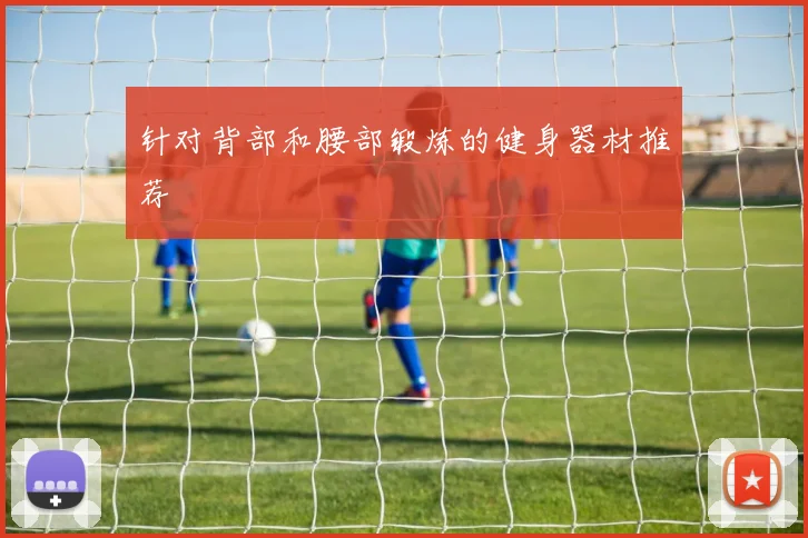 针对背部和腰部锻炼的健身器材推荐